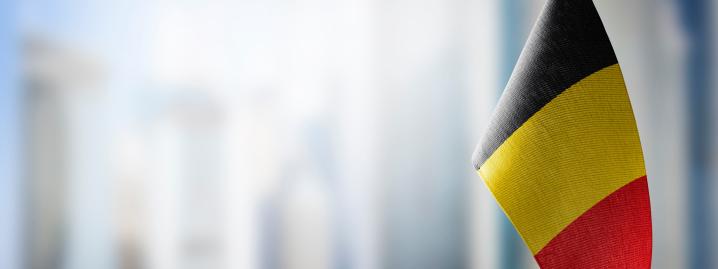 foto van een kleine Belgische vlag voor een raam met een stadszicht / photo d'un petit drapeau belge devant une fenêtre avec vue sur une ville 